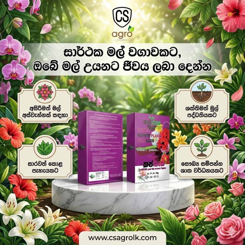 Kapruka Special Flower Plant Fertilizer 1KG
