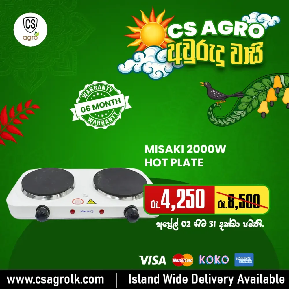 Misaki 2000W Double Electric Hot Plate