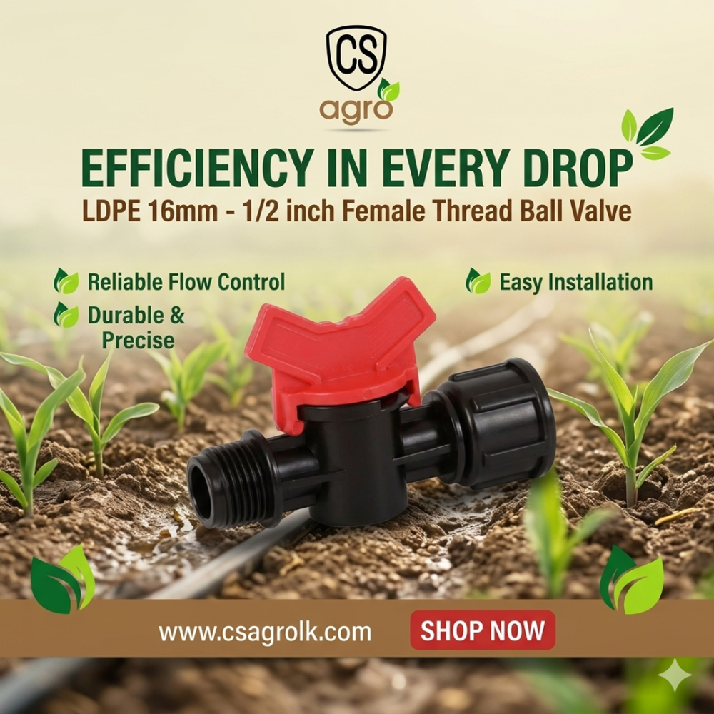 LDPE 16mm to 1/2" Female Thread Mini Ball Valve