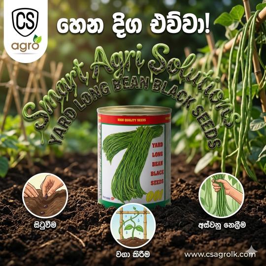 Smart Agri Solutions Yard Long Bean (Black Seeds) 001 - Premium High Yield Seeds | CS Agro