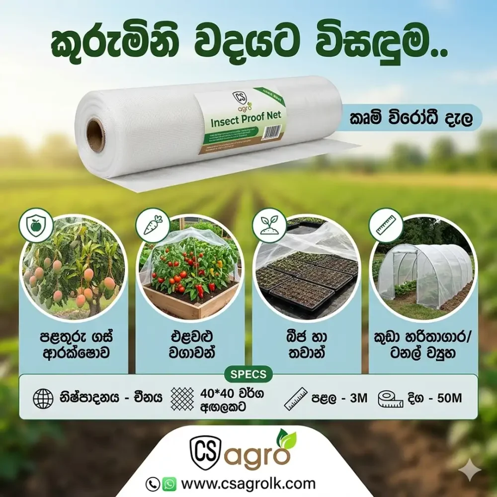 Insect Proof Net 40*40 Mesh 3M Width Made in China