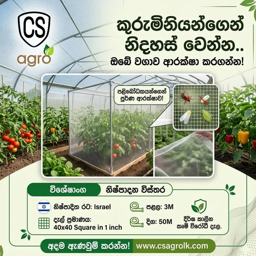 Insect Proof Net 40*40 Mesh 3M Width Made in Israel