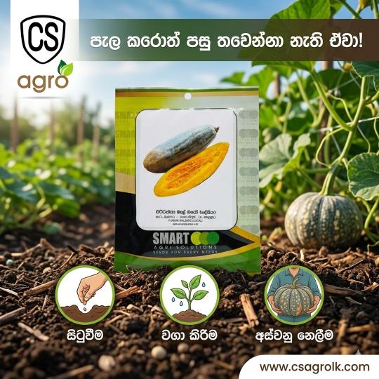 Smart Agri Solutions Pumpkin Malbaro (Local) Seeds 10g