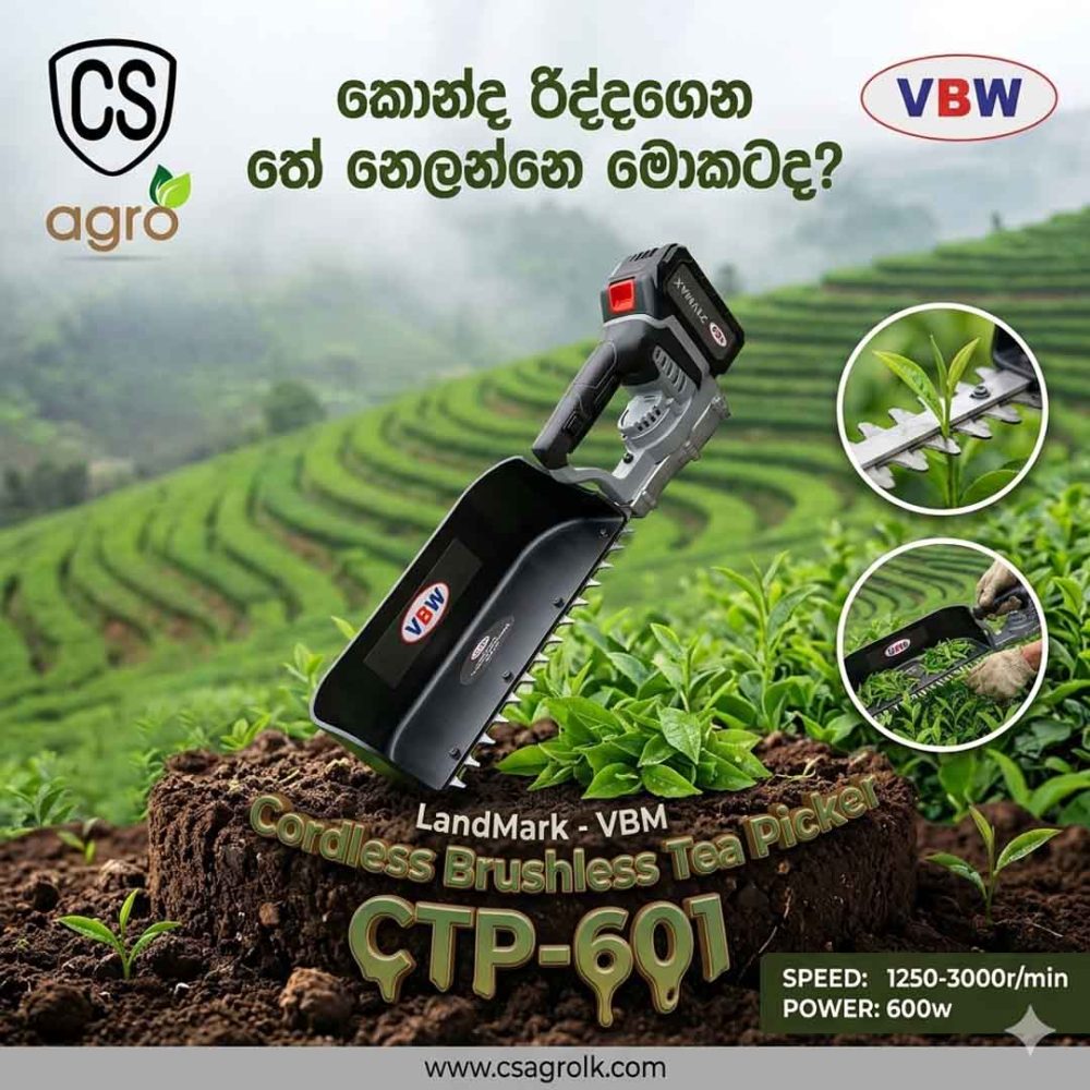 VBM Cordless Brushless Tea Picker CTP-601 | 21V Battery Powered Tea Harvester