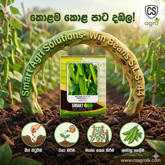 Smart Agri Solutions Win Beans S.L.S - 44 (Premium Winged Bean) | CS Agro