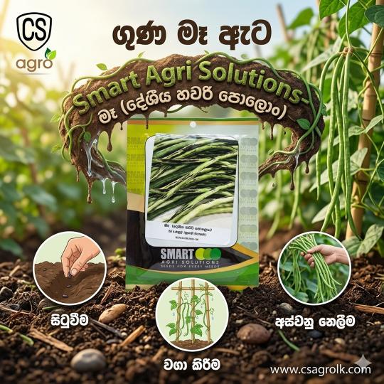 Smart Agri Solutions Local Hawari Polon / දේශීය හවරි පොලොං Seeds | CS Agro
