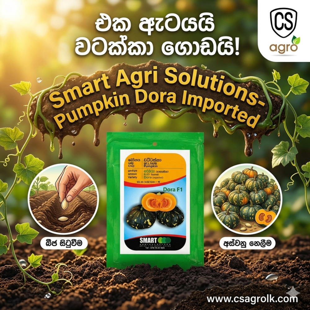 Smart Agri Solutions Pumpkin Dora F1 (Imported) Seeds - Maximum Yield | CS Agro