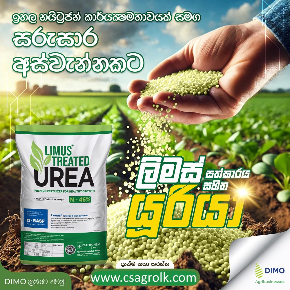 DIMO Limus Treated Urea BASF N-46%
