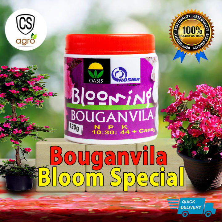 Bouganvila Bloom Special 10:30:44+Cano3 Fertilizer Flower 120g