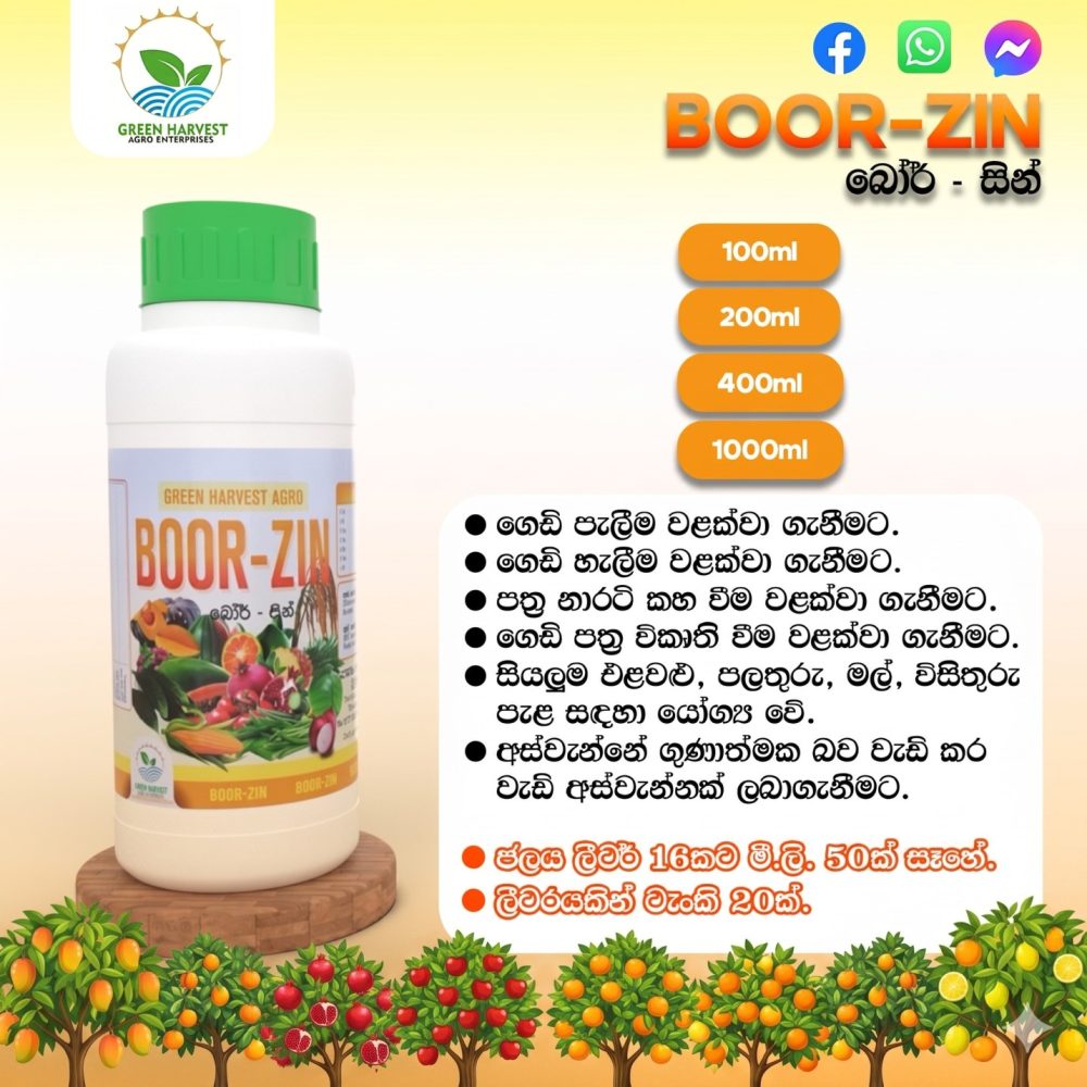 Boor Zin Fertilizer Boron 20% & Zinc 13%