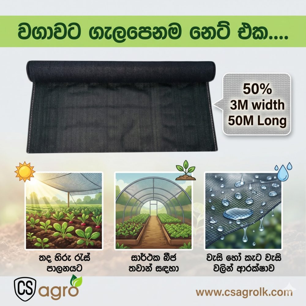 Thailand Shade Net 50% 3M*50M Roll Sun Block Cover UV Treated