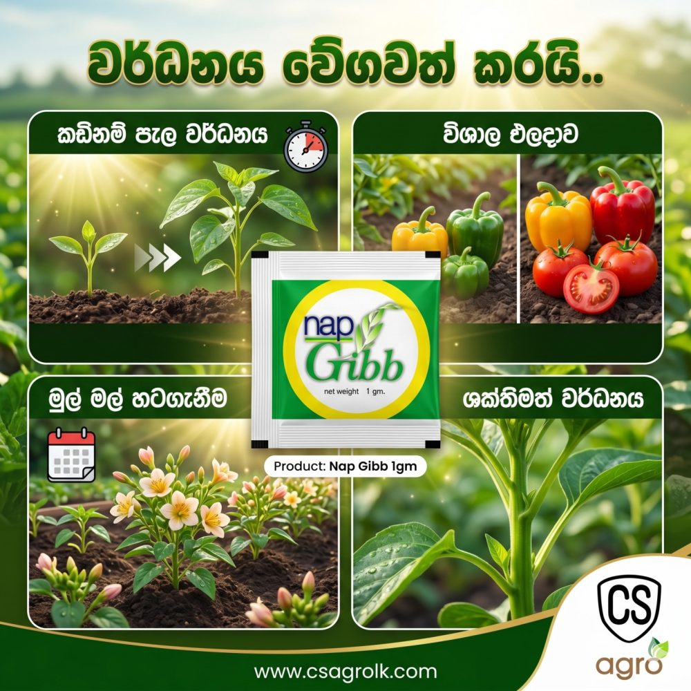 Nap Gibb 1gm GA3-10% Ca-6% B-2% Gibberellic Acid