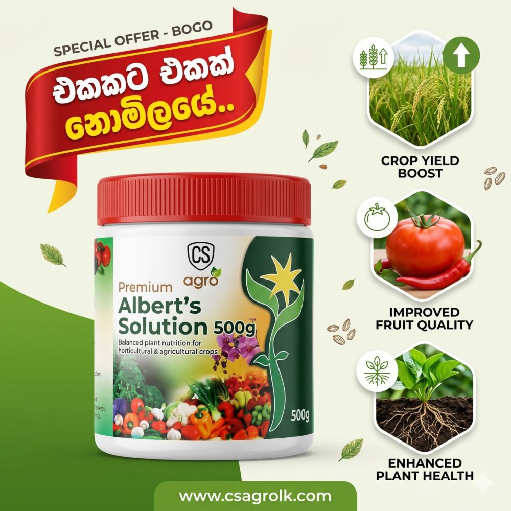 Agstar Premium Albert’s Solution 500g Buy one Get one Free
