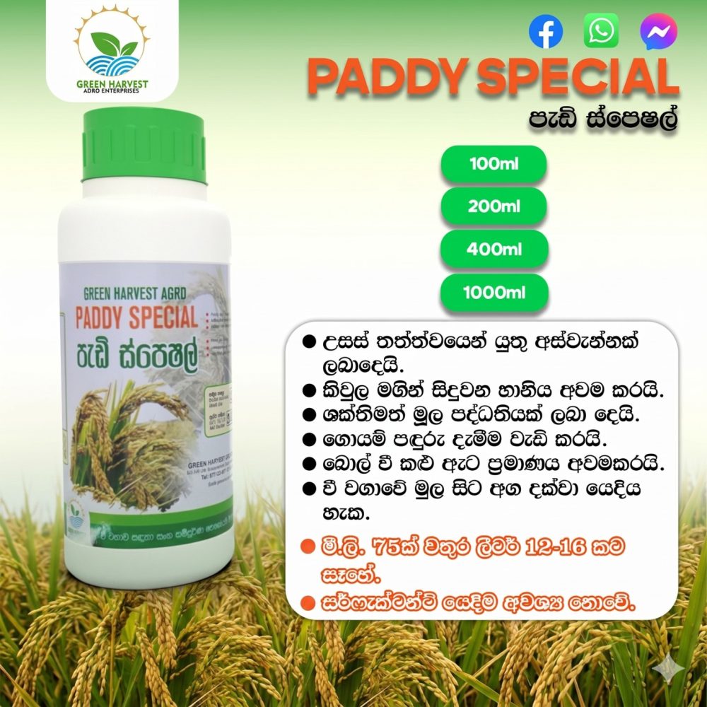 Paddy Special V-Master Fertilizer