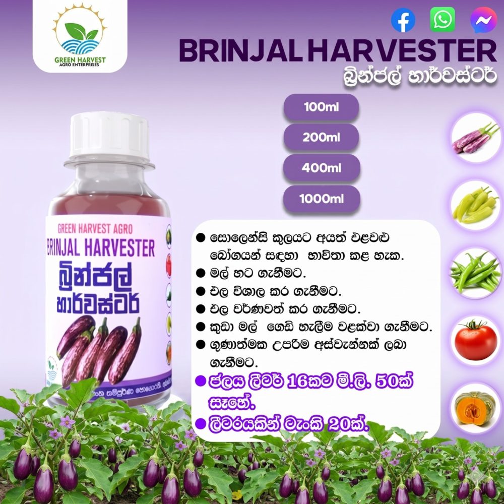 Brinjal Harvestor Liquid Fertilizer