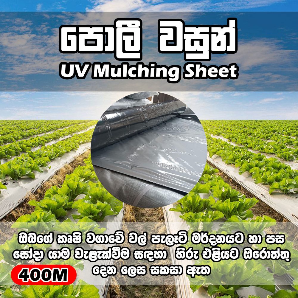 Gardening Mulching Film Sheet 4ft 400m UV Treated