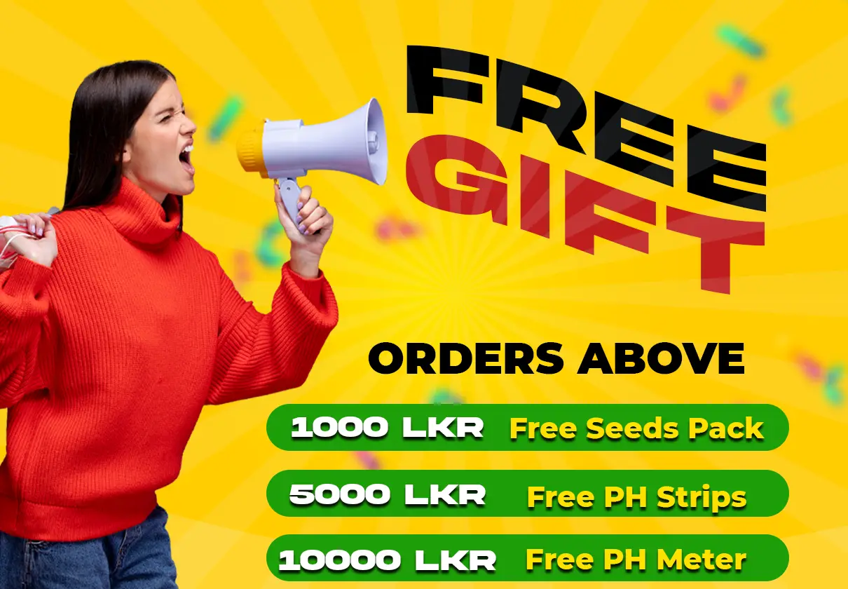 free gift new