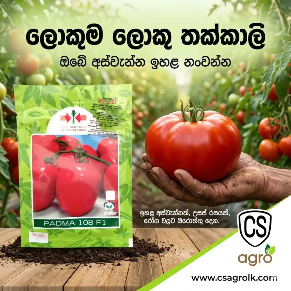 Best Seeds Padma 108 F1 Tomato Seeds