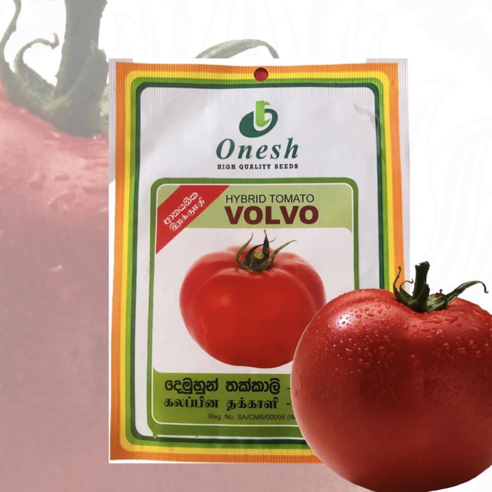 Onesh VOLVO F1 Hybrid Tomato Greenhouse Cultivation Only