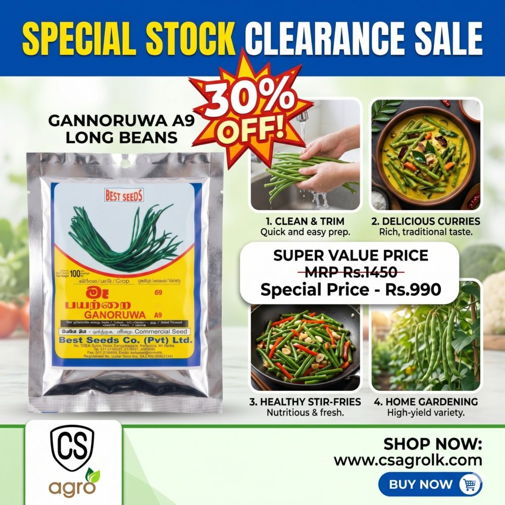 Best Seeds Yard A9 Long Beans 100g