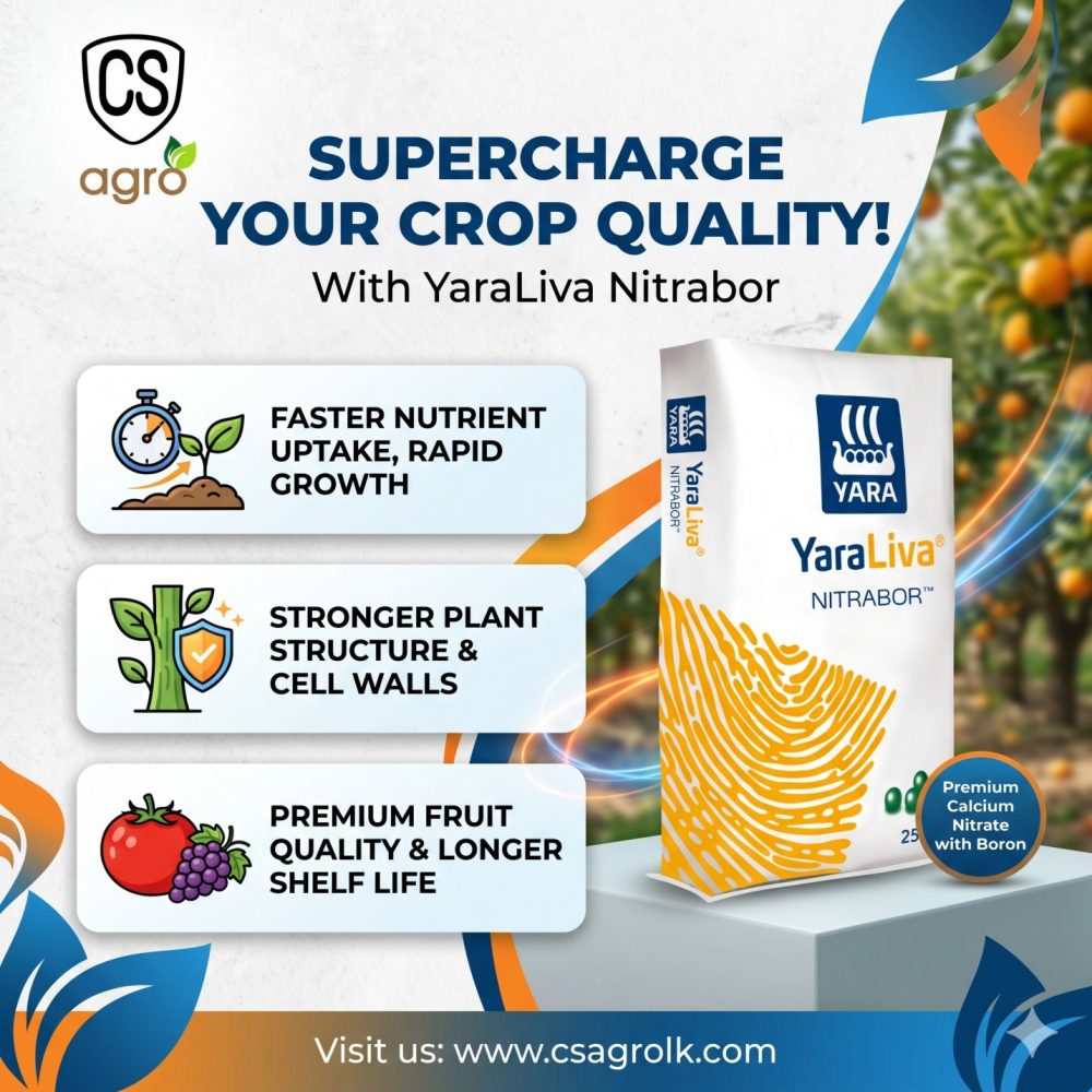 YaraLiva Nitrabor Fertilizer N15.4% Ca18.3% B0.3%