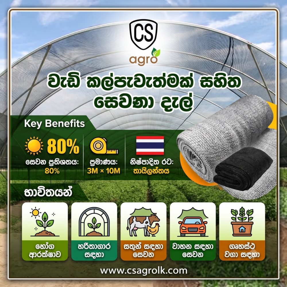 Shade Net 80% Thailand Sun Block UV Treated 3M Width 10M Long