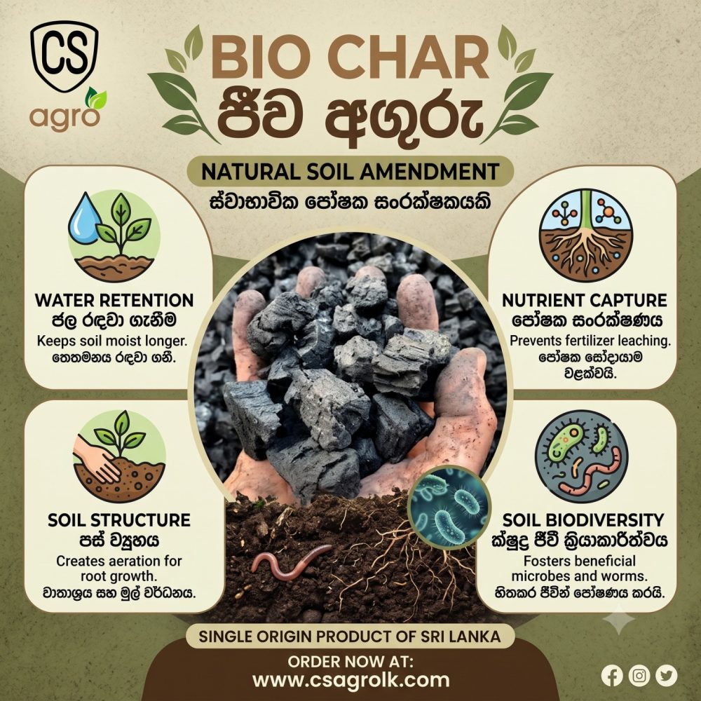 Biochar Dara Aguru Charcoal for Plants 1kg
