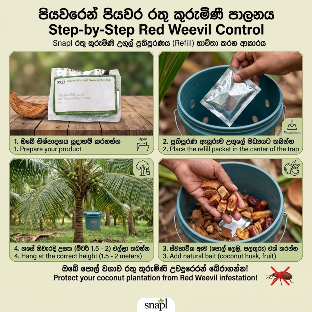 Pheromone Red Palm Weevil Trap Refill Only 100% Natural Insect Control