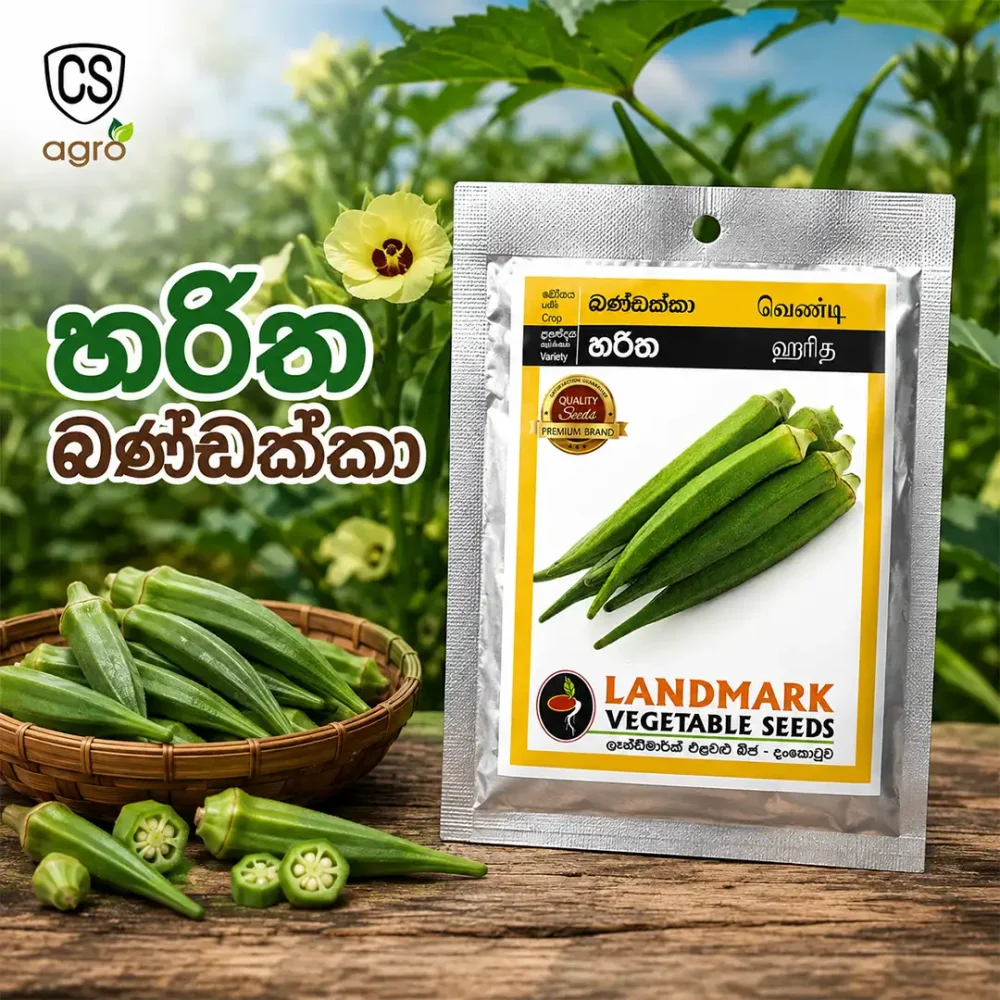 Landmark Haritha Okra Bandakka Seeds