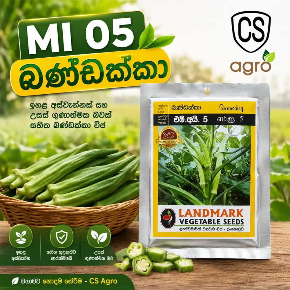 Landmark Mi05 Okra Bandakka Seeds