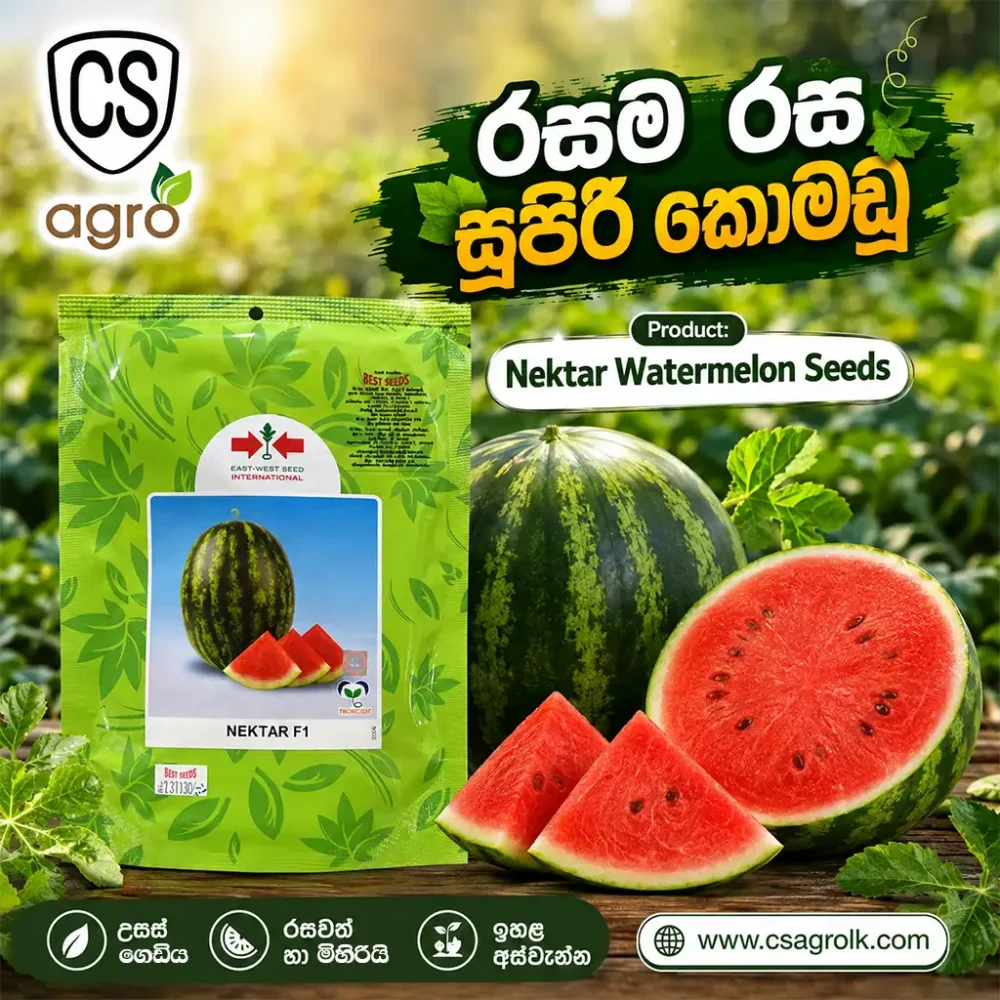 Best Seeds Nektar Water Melon 2500 Seeds