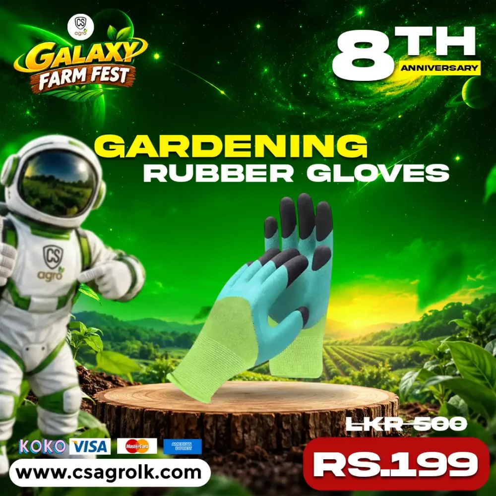 Heavy Duty Gardening Gloves - Anti Slip Rubber Coated Safety Agriculture Gloves Sri Lanka