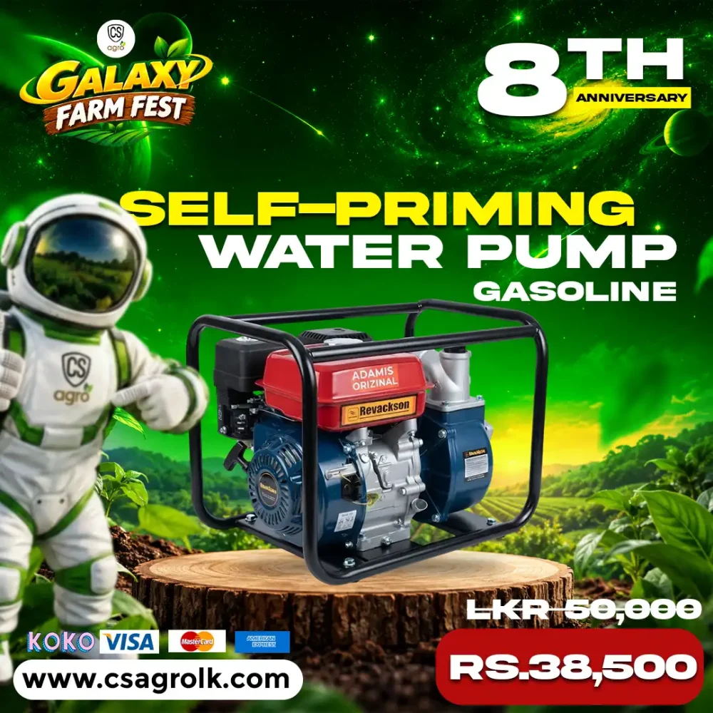 Revackson WP-20X 2-Inch Self-Priming Gasoline Water Pump | Best Farm Irrigation & Water Transfer Pump
