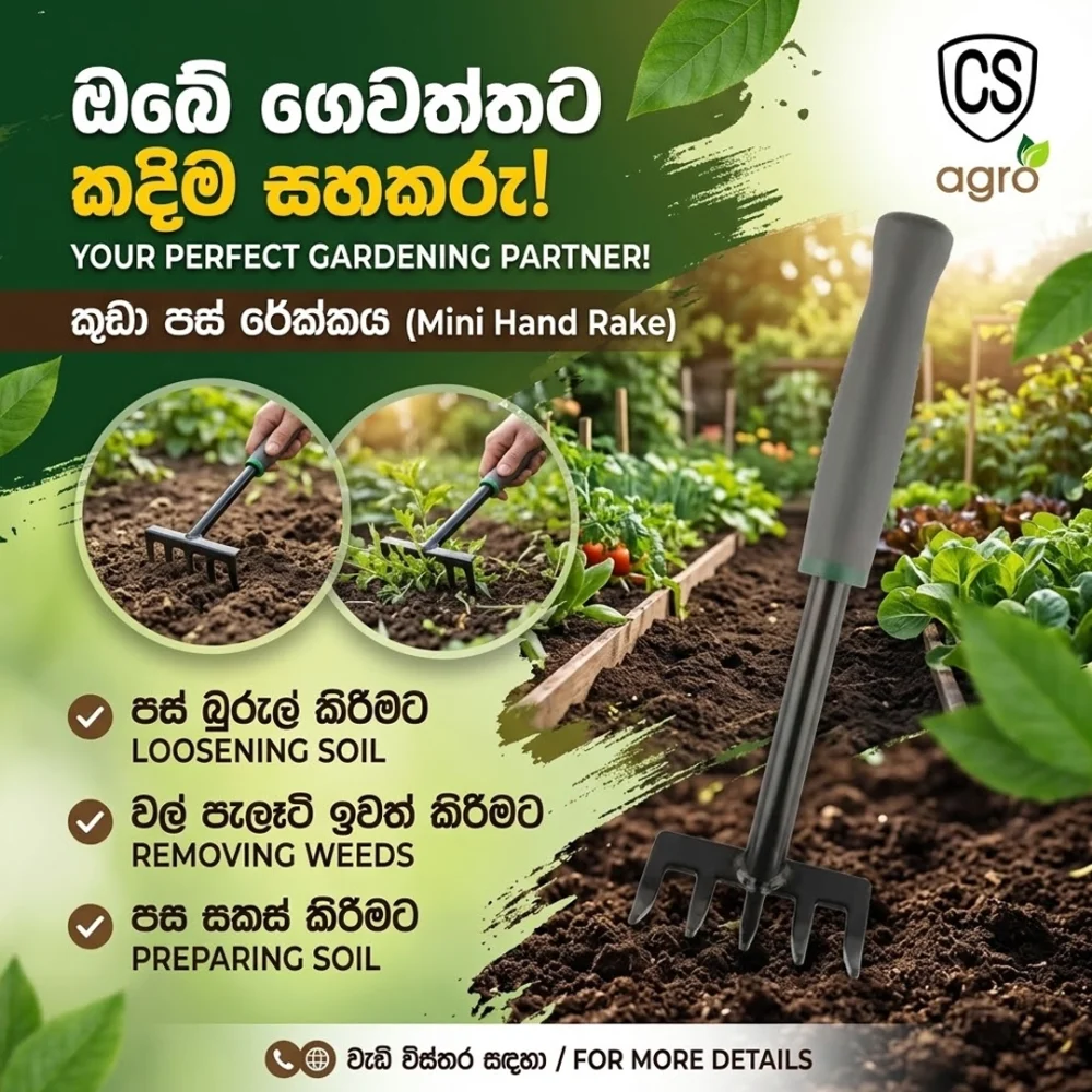 5-Tooth Garden Hand Rake | Mini Cultivator & Weeding Tool with Non-Slip Grip