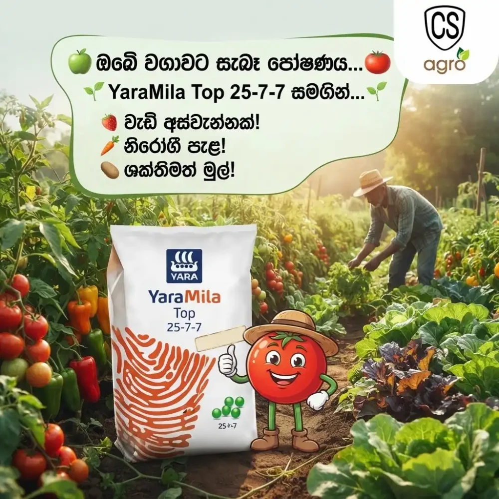 Uni Power YaraMila Top 25-7-7 Fertilizer | Best Compound Fertilizer