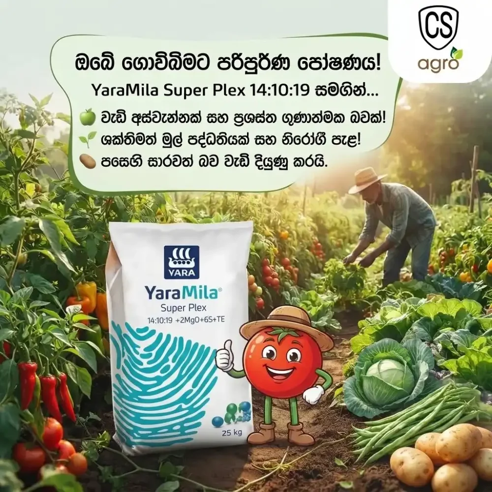 Uni Power YaraMila Super Plex 14:10:19 Fertilizer 25kg | Best Crop Nutrition & High Yield