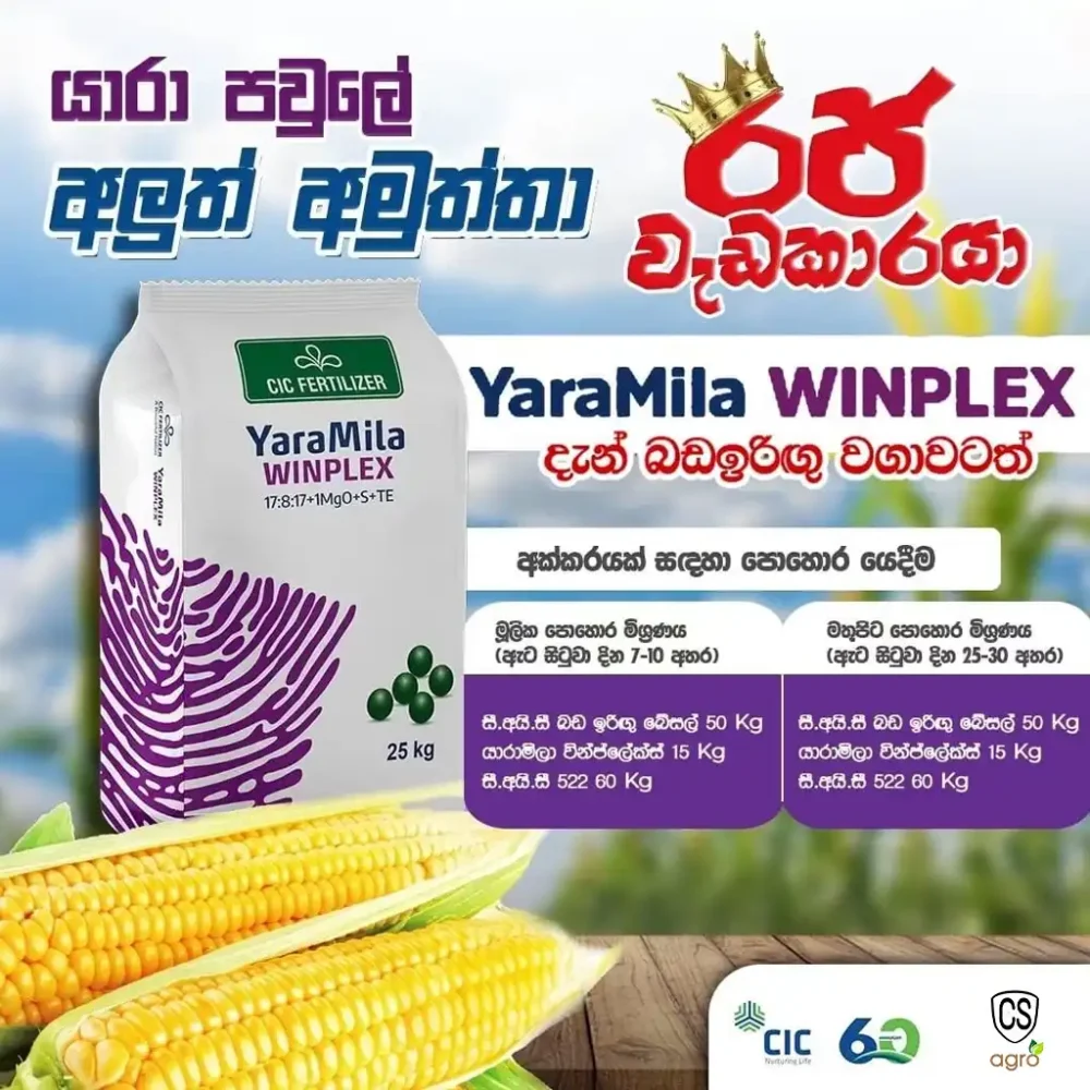 Uni Power YaraMila WINPLEX 25kg Corn Fertilizer | CIC Fertilizer