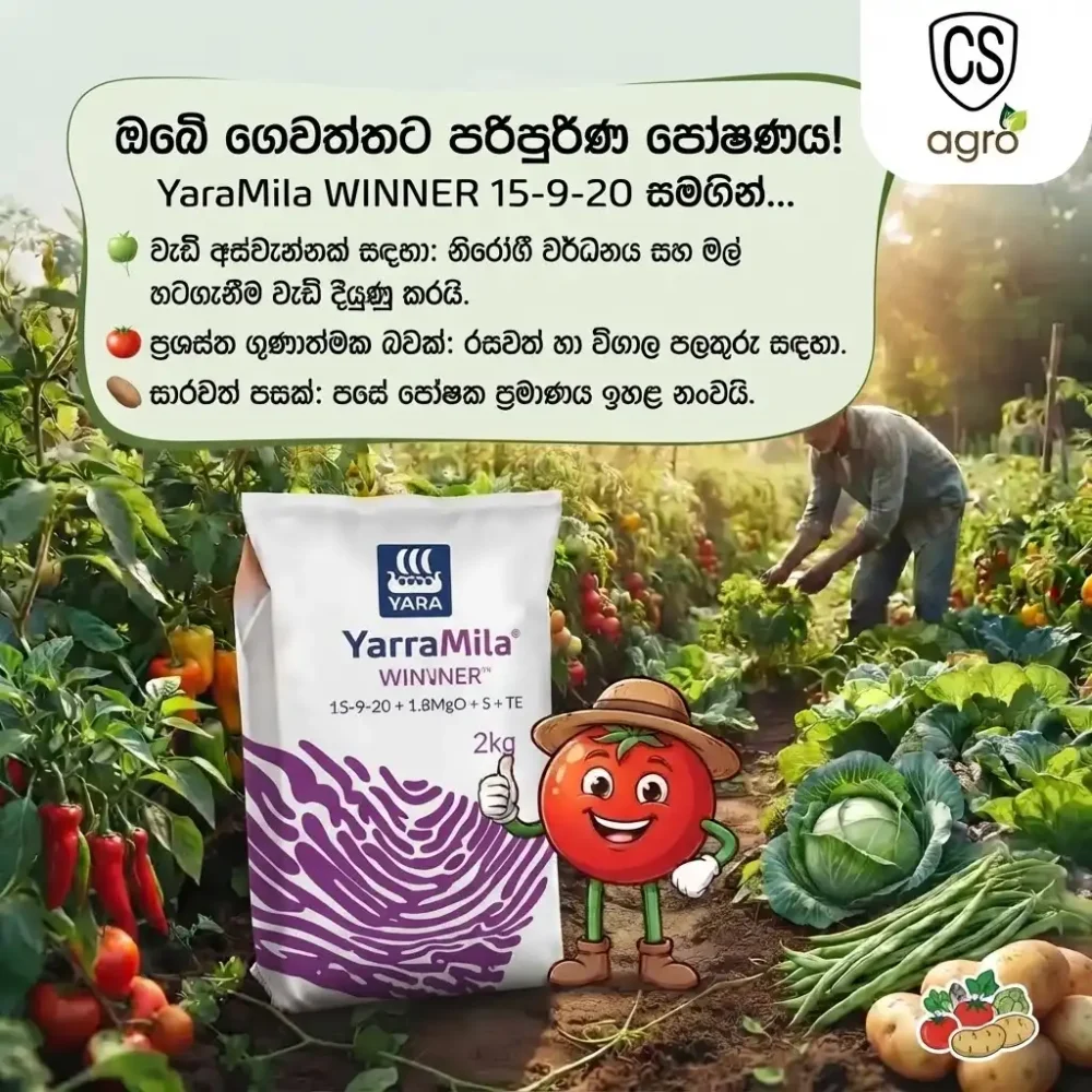 Uni Power YaraMila WINNER 15-9-20 (2kg) | Best Fertilizer for Home Garden Vegetables & Flowers