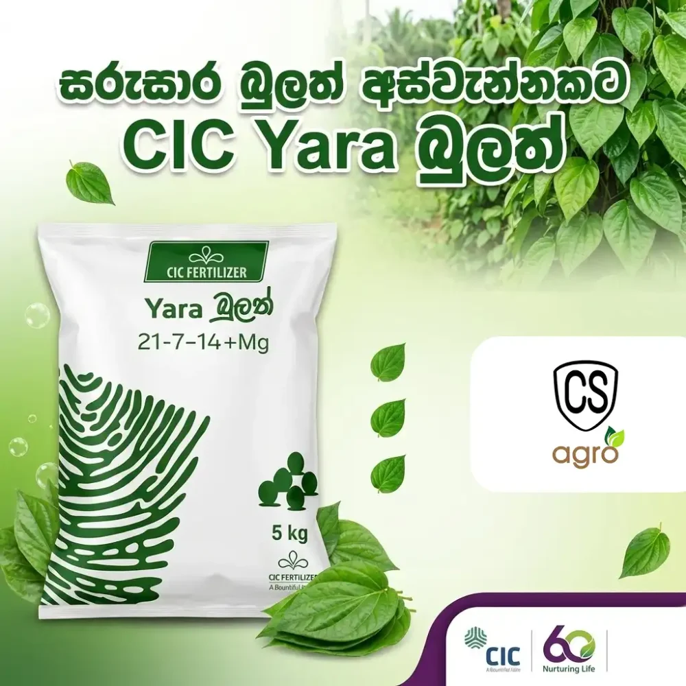 CIC Yara Bulath Fertilizer 5kg - NPK 21-7-14+Mg Compound Fertilizer