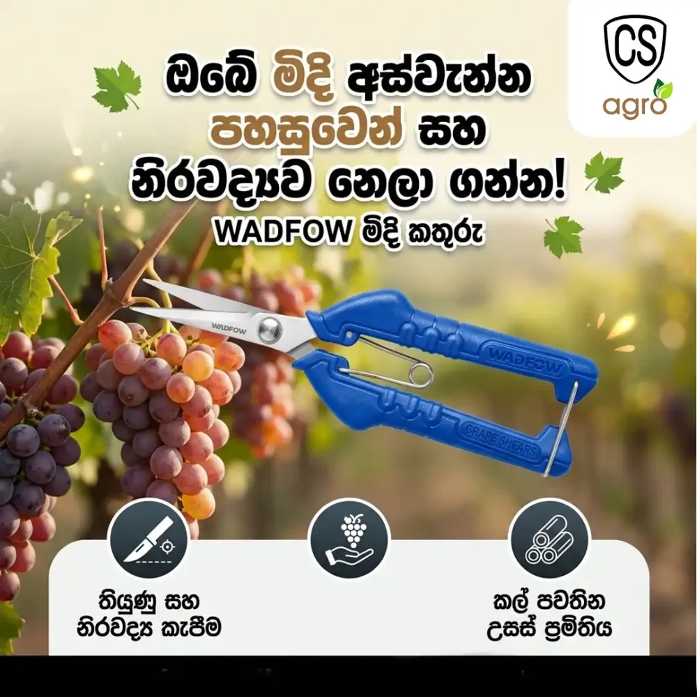 WADFOW 210mm (8") Stainless Steel Grape Shears & Pruning Scissors - WSX5608
