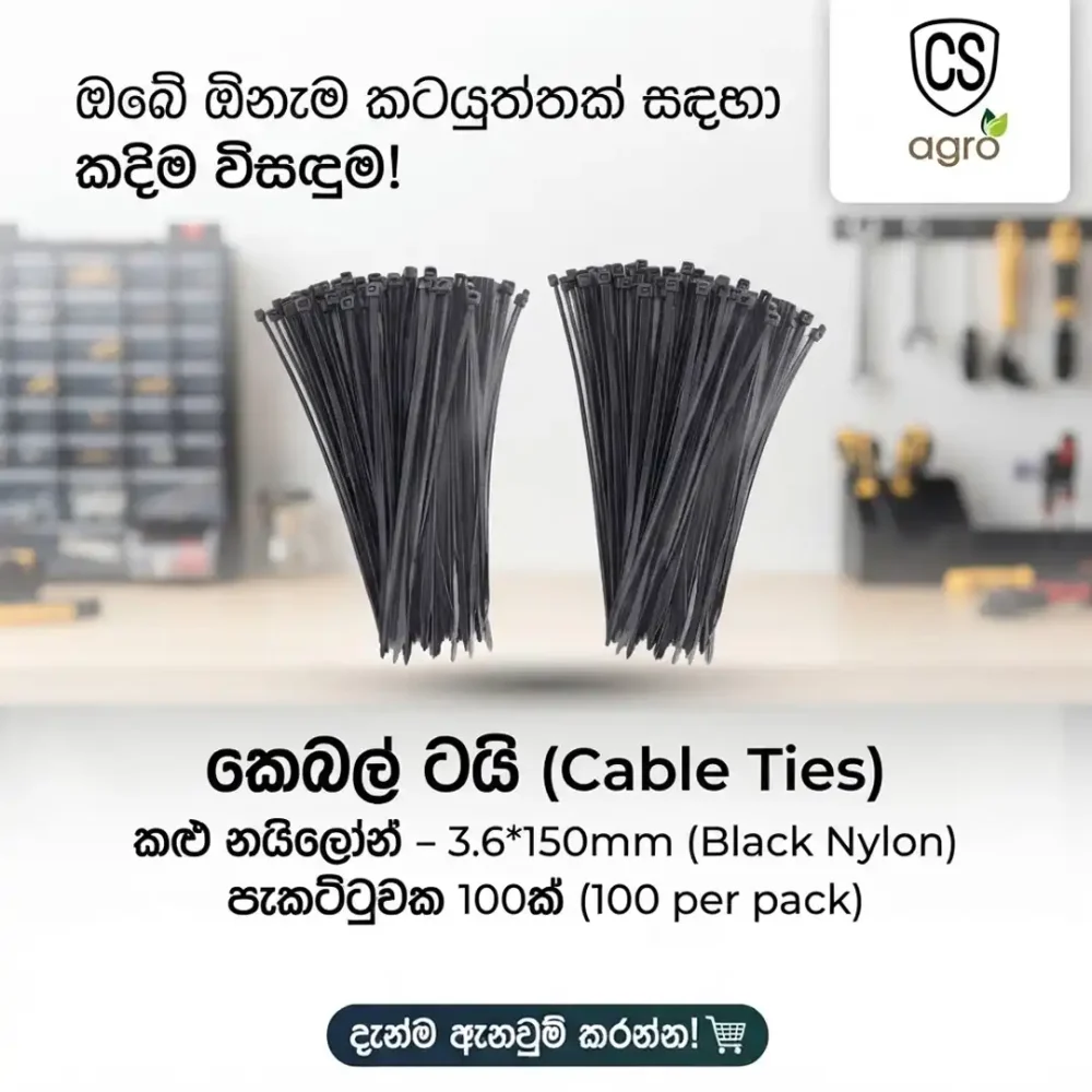 Rider Nylon Cable Ties 3.6 x 150mm (Black, 100 Pcs Pack)