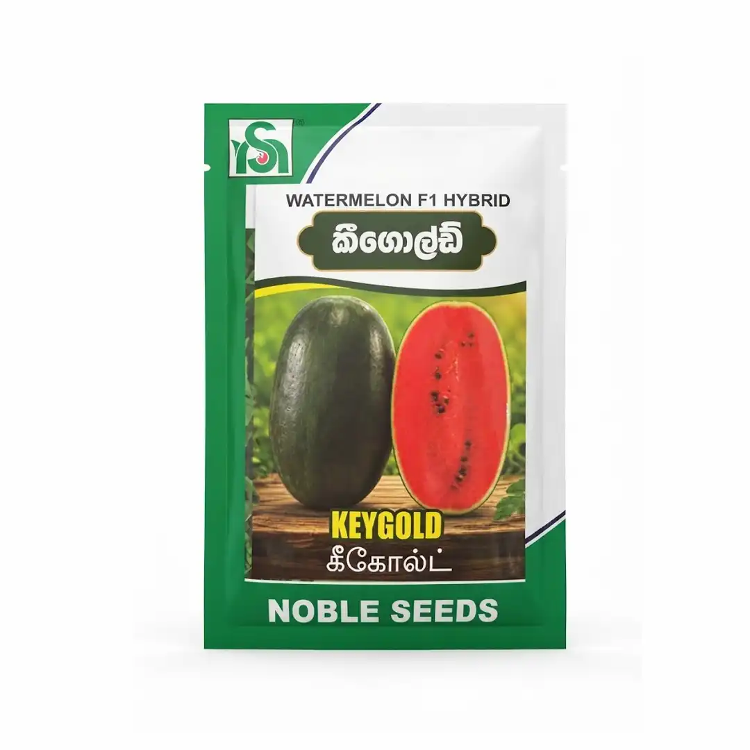 Keygold F1 Hybrid Watermelon Seeds | Premium Quality Sweet Watermelon Seeds - Image 2