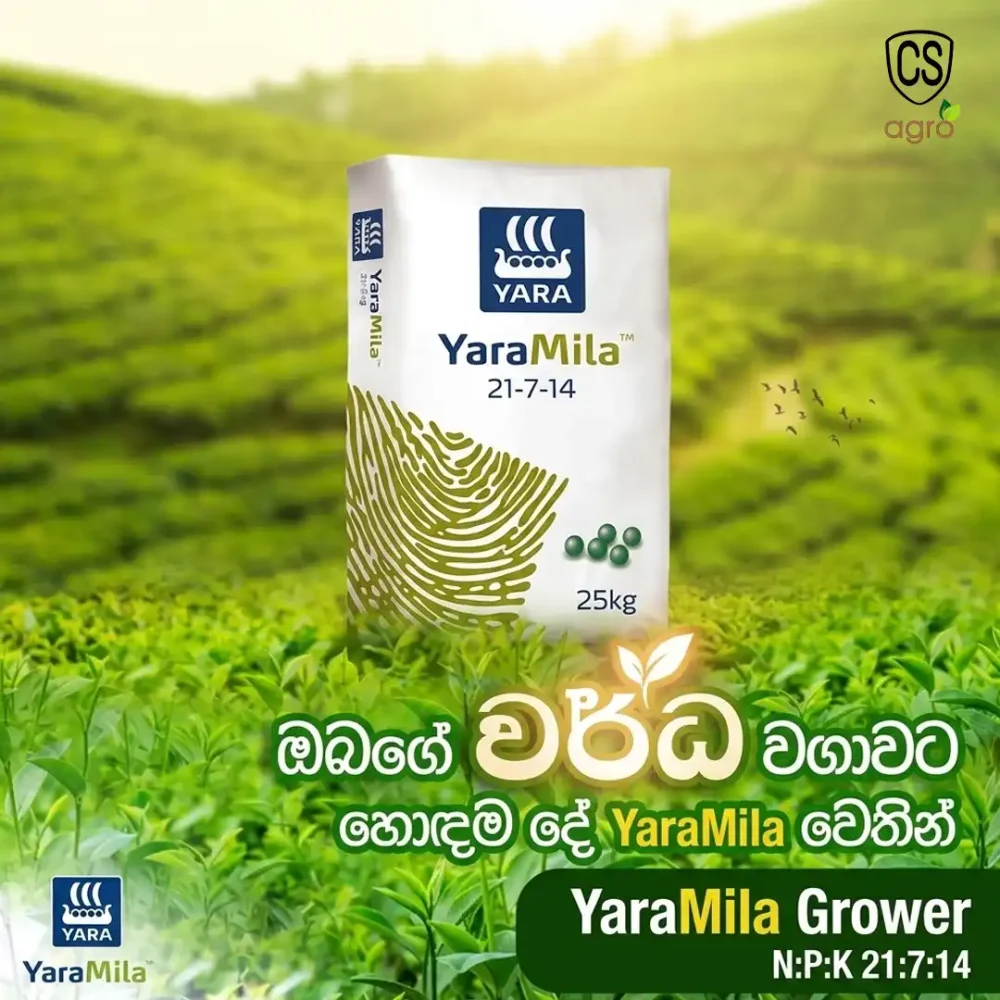 YaraMila Grower 21-7-14 Fertilizer (25Kg) - Compound NPK Plant Food for Vegetables & Crops