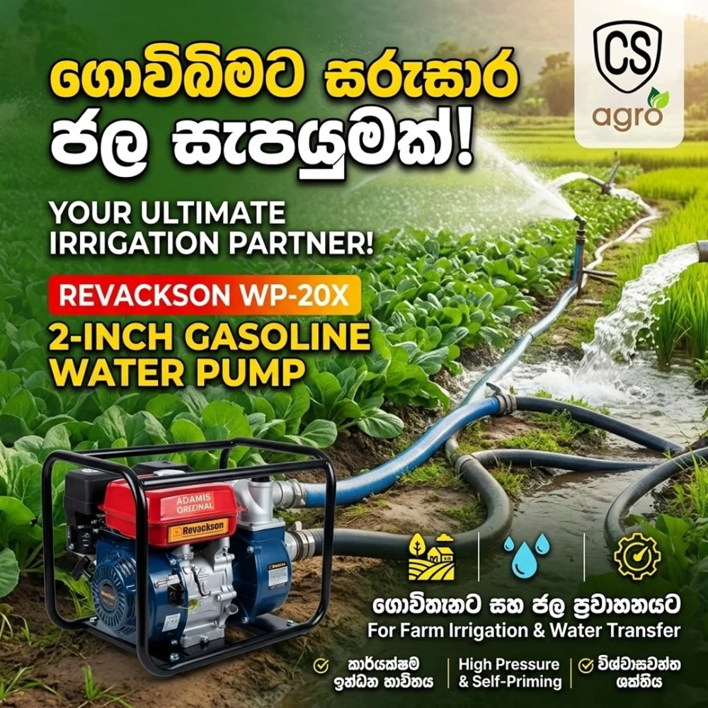 Revackson WP-20X 2-Inch Self-Priming Gasoline Water Pump | Best Farm Irrigation & Water Transfer Pump
