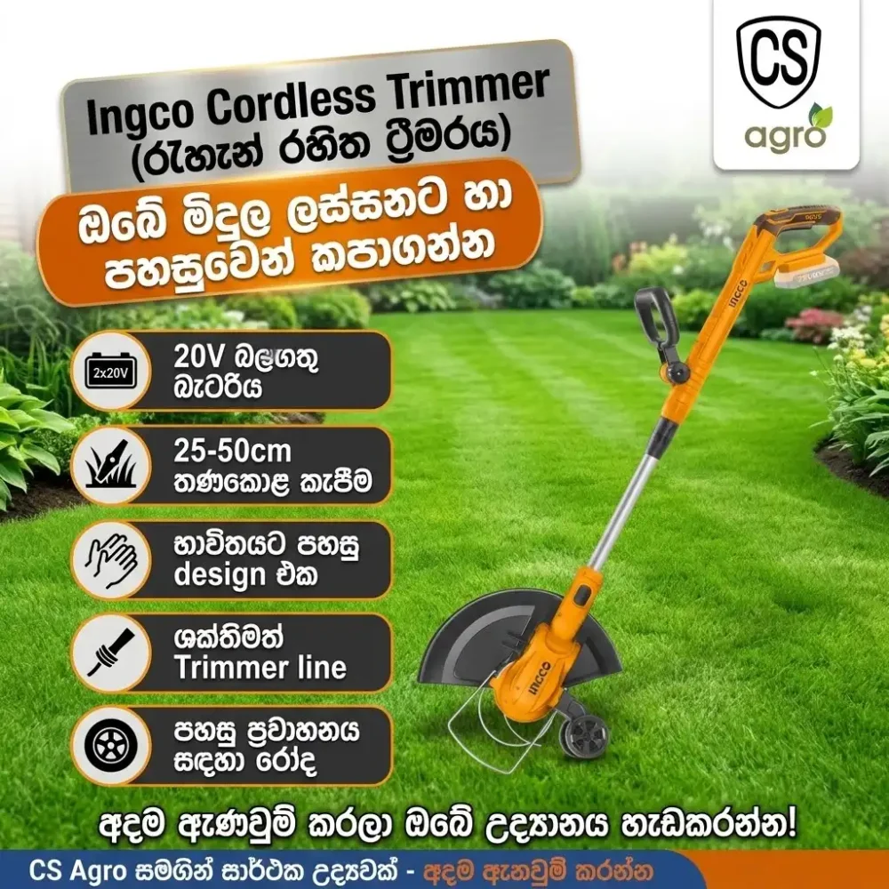 Ingco 20V Cordless Grass Trimmer 300mm - Electric Lawn Edger & Weed Cutter