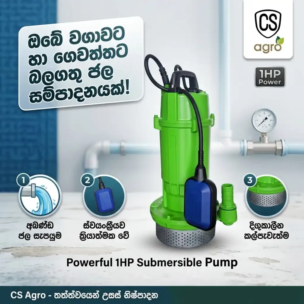 MEN 1HP Submersible Water Pump - 1 Inch Clean Water Pump with Float Switch