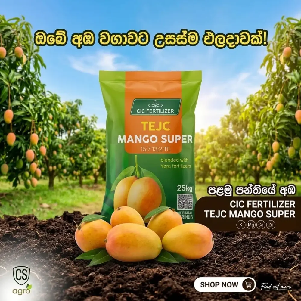 CIC TEJC Mango Super Fertilizer 25kg | Best Mango Fertilizer in Sri Lanka
