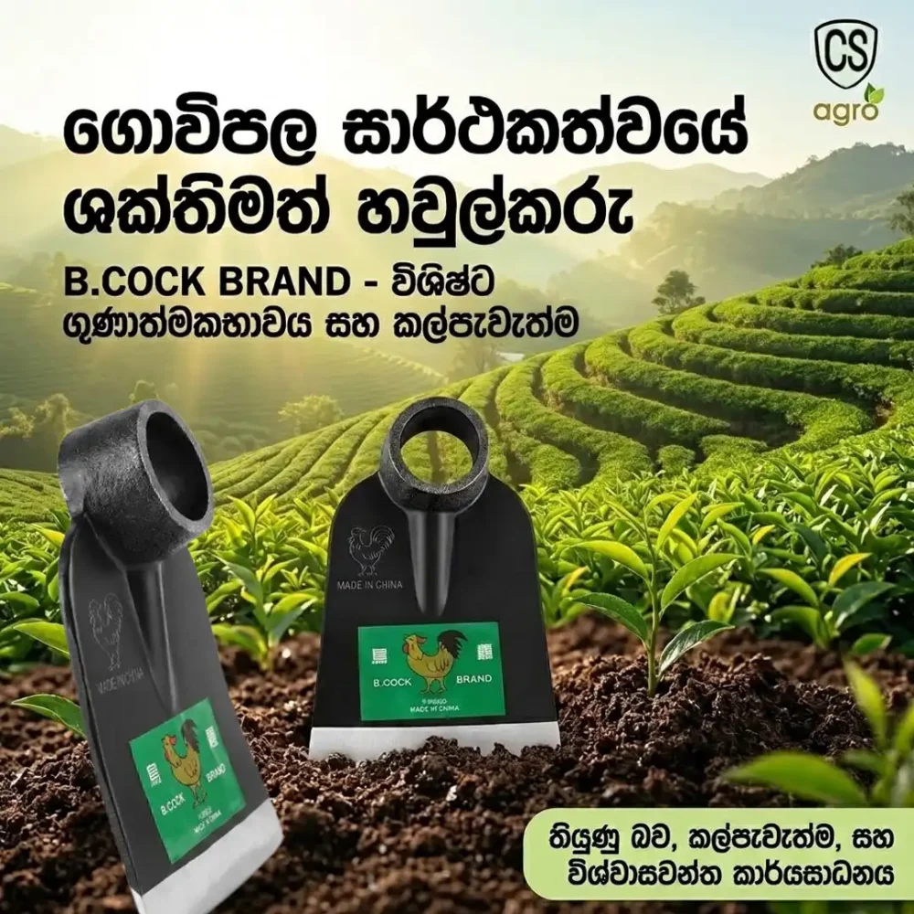 B.COCK Brand Hoe 6x6 | High-Quality Steel Agricultural Hoe