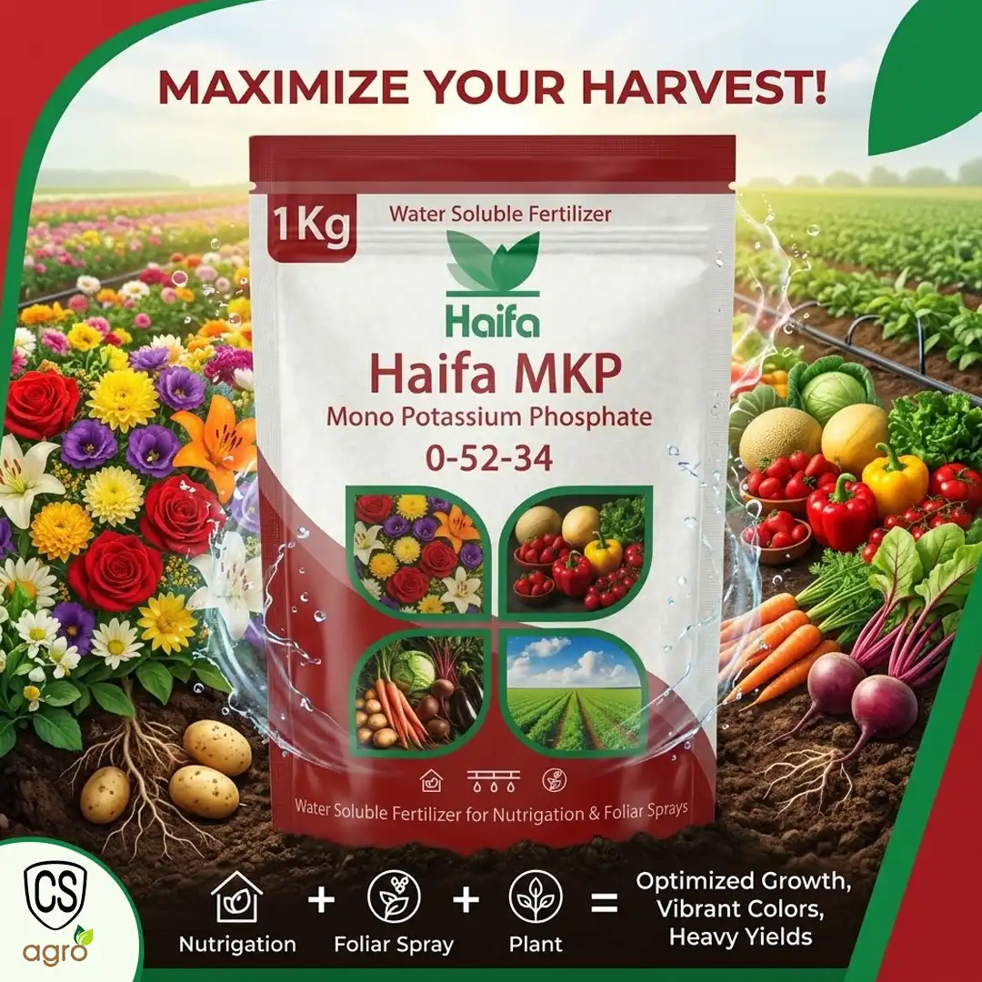 Haifa MKP 0-52-34 Mono Potassium Phosphate Water Soluble Fertilizer - 1Kg